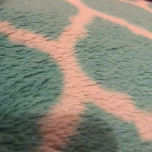 Meet your Posher, Kayd